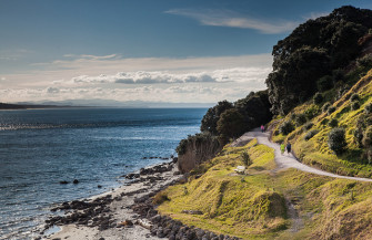 Top Road Trips from Auckland