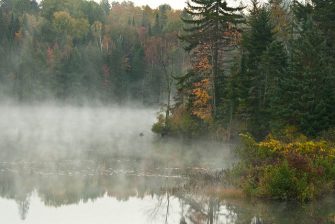 New York: It’s Not Just About The Big Apple