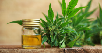 Exploring the Benefits of Socially Acceptable CBD Oil