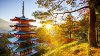 5 Reasons Japan Should be Your Next Holiday Destination