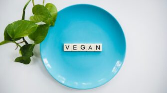 Top Tips for A Vegan Lifestyle