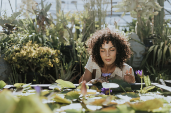 Garden Rooms As Calming Rooms Creating Your Perfect Relaxation Space