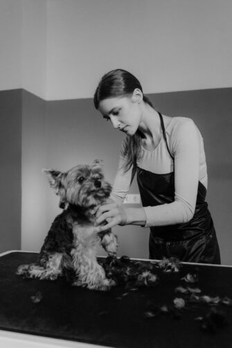 How a Professional Grooming Session Creates a Happier Pet for Your Kids